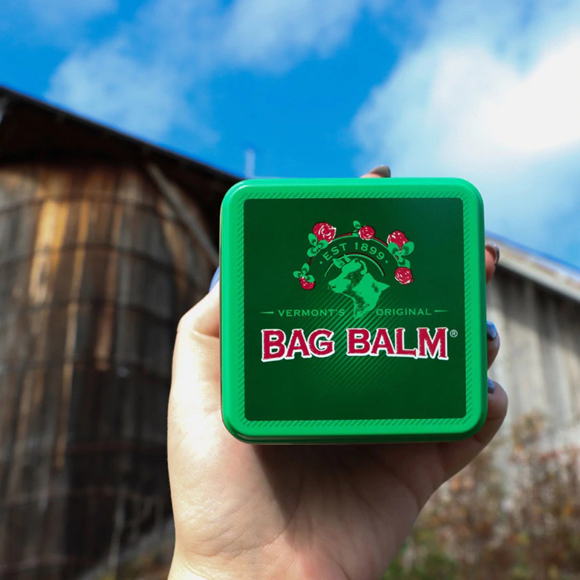 Bag Balm Moisturizer, 8oz, Each