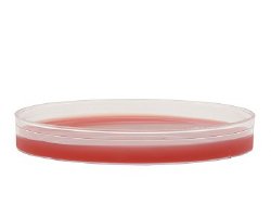 Hardy Diagnostics Tryptic Soy Agar (TSA) with 5% Sheep Blood Prepared Media