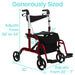 RED Mobility - Vive - Wasatch Medical Supply