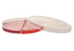 Hardy Diagnostics Blood Agar / MacConkey Biplate Prepared Media