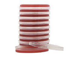 Hardy Diagnostics Selective Strep Agar (COBA Medium) Prepared Media | Box-1 | 914949_BX