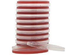 Hardy Diagnostics Tryptic Soy Agar (TSA) with 5% Sheep Blood Prepared Media | Box-10 | 883483_BX